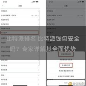 比特派排名 比特派钱包安全吗？专家详解其全面优势