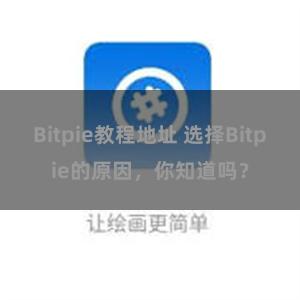 Bitpie教程地址 选择Bitpie的原因，你知道吗？