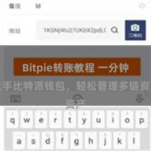 Bitpie转账教程 一分钟上手比特派钱包，轻松管理多链资产