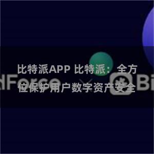 比特派APP 比特派：全方位保护用户数字资产安全