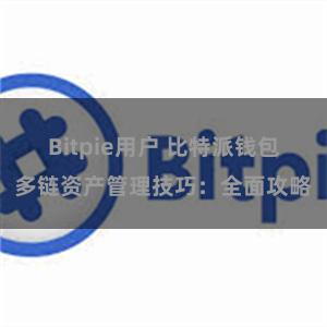 Bitpie用户 比特派钱包多链资产管理技巧：全面攻略