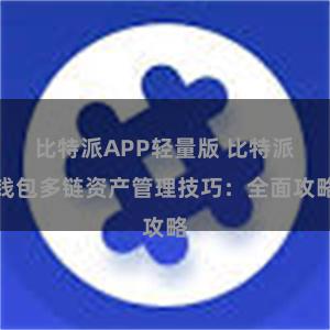 比特派APP轻量版 比特派钱包多链资产管理技巧：全面攻略