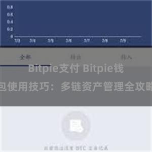 Bitpie支付 Bitpie钱包使用技巧：多链资产管理全攻略