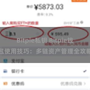 Bitpie私钥 Bitpie钱包使用技巧：多链资产管理全攻略