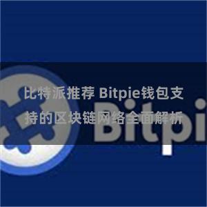 比特派推荐 Bitpie钱包支持的区块链网络全面解析