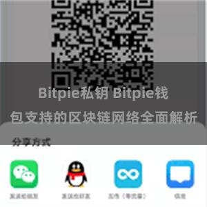 Bitpie私钥 Bitpie钱包支持的区块链网络全面解析