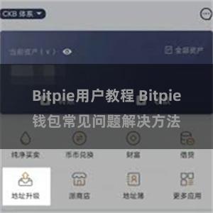 Bitpie用户教程 Bitpie钱包常见问题解决方法