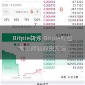 Bitpie转账 Bitpie钱包常见问题解决方法