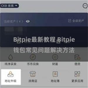 Bitpie最新教程 Bitpie钱包常见问题解决方法