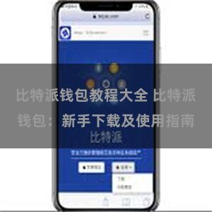 比特派钱包教程大全 比特派钱包：新手下载及使用指南