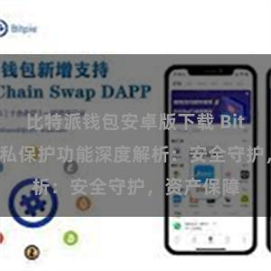 比特派钱包安卓版下载 Bitpie钱包隐私保护功能深度解析：安全守护，资产保障