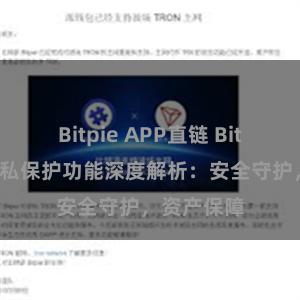 Bitpie APP直链 Bitpie钱包隐私保护功能深度解析：安全守护，资产保障