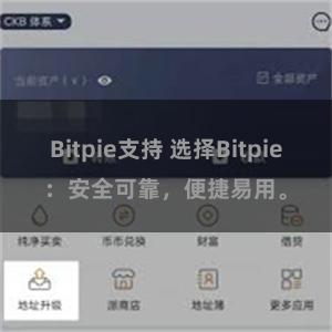 Bitpie支持 选择Bitpie：安全可靠，便捷易用。