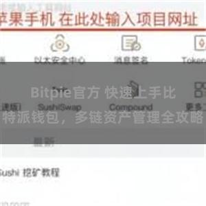 Bitpie官方 快速上手比特派钱包，多链资产管理全攻略