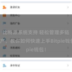 比特派系统支持 轻松管理多链资产，教你如何快速上手Bitpie钱包！