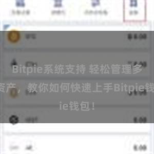 Bitpie系统支持 轻松管理多链资产，教你如何快速上手Bitpie钱包！