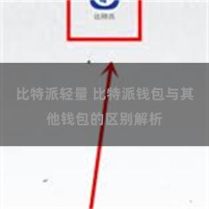 比特派轻量 比特派钱包与其他钱包的区别解析