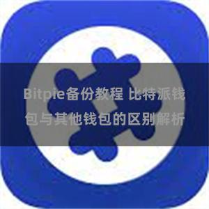 Bitpie备份教程 比特派钱包与其他钱包的区别解析
