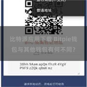 比特派应用下载 Bitpie钱包与其他钱包有何不同？