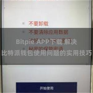 Bitpie APP下载 解决比特派钱包使用问题的实用技巧