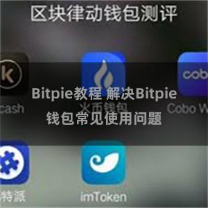 Bitpie教程 解决Bitpie钱包常见使用问题