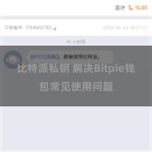 比特派私钥 解决Bitpie钱包常见使用问题