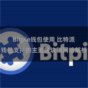 Bitpie钱包使用 比特派钱包支持的主要区块链网络解析