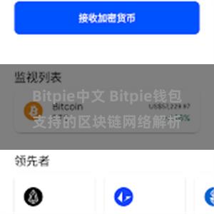 Bitpie中文 Bitpie钱包支持的区块链网络解析