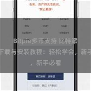 Bitpie多币支持 比特派钱包下载与安装教程：轻松学会，新手必看