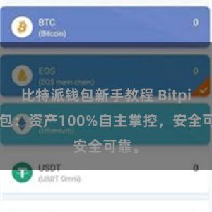 比特派钱包新手教程 Bitpie钱包：资产100%自主掌控，安全可靠。