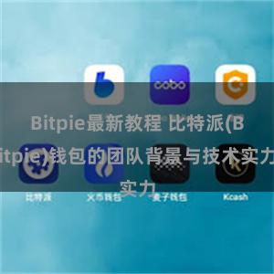 Bitpie最新教程 比特派(Bitpie)钱包的团队背景与技术实力