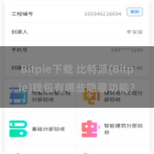 Bitpie下载 比特派(Bitpie)钱包有哪些隐藏功能？