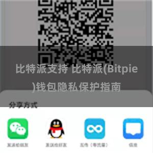 比特派支持 比特派(Bitpie)钱包隐私保护指南