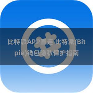 比特派APP直连 比特派(Bitpie)钱包隐私保护指南