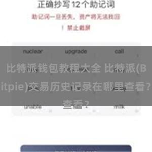 比特派钱包教程大全 比特派(Bitpie)交易历史记录在哪里查看？