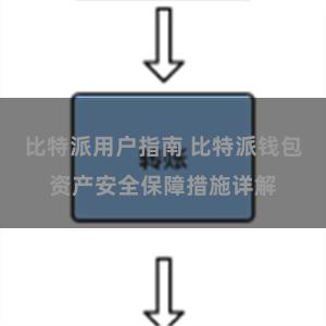 比特派用户指南 比特派钱包资产安全保障措施详解