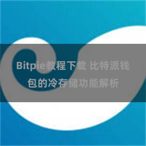 Bitpie教程下载 比特派钱包的冷存储功能解析