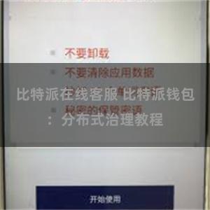 比特派在线客服 比特派钱包：分布式治理教程