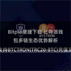 Bitpie便捷下载 比特派钱包多链生态优势解析