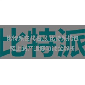 比特派在线客服 比特派钱包链上资产追踪功能全解析