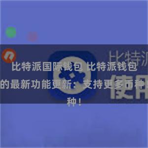 比特派国际钱包 比特派钱包的最新功能更新：支持更多币种！
