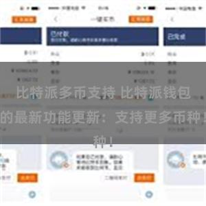 比特派多币支持 比特派钱包的最新功能更新：支持更多币种！