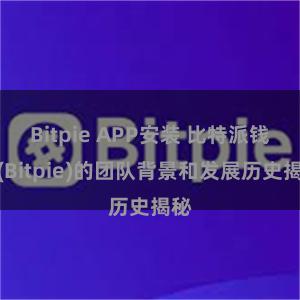 Bitpie APP安装 比特派钱包(Bitpie)的团队背景和发展历史揭秘