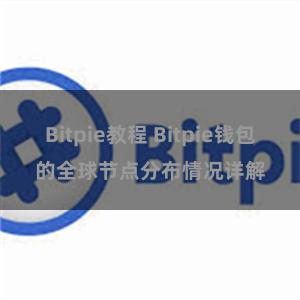 Bitpie教程 Bitpie钱包的全球节点分布情况详解