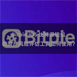 Bitpie iOS 比特派钱包的资产风险评估工具如何使用？