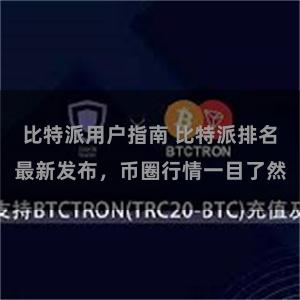 比特派用户指南 比特派排名最新发布，币圈行情一目了然