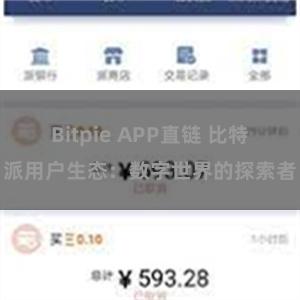 Bitpie APP直链 比特派用户生态：数字世界的探索者