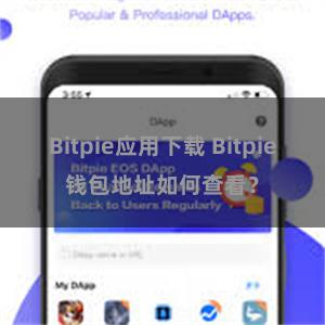 Bitpie应用下载 Bitpie钱包地址如何查看？