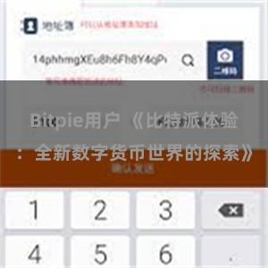 Bitpie用户 《比特派体验：全新数字货币世界的探索》