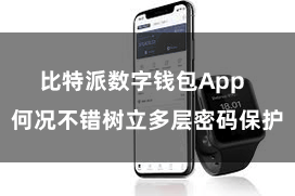 比特派数字钱包App  何况不错树立多层密码保护